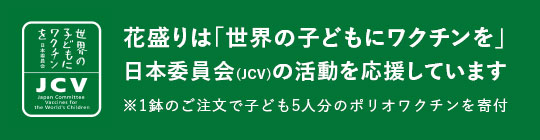 JCV