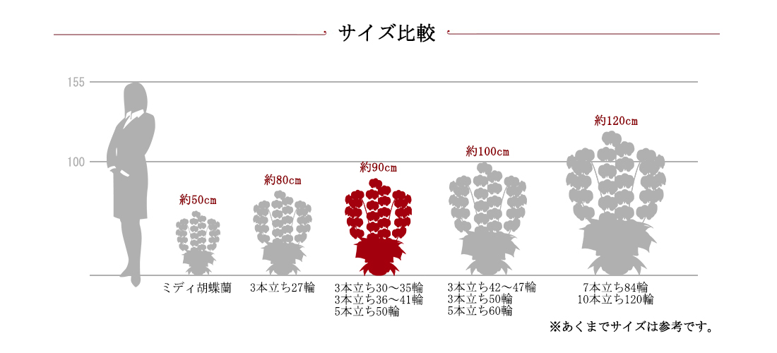 胡蝶蘭サイズ比較