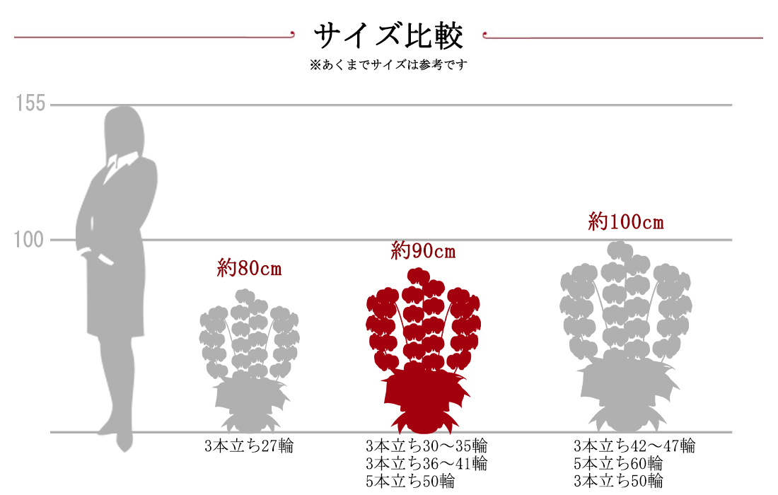 胡蝶蘭サイズ比較